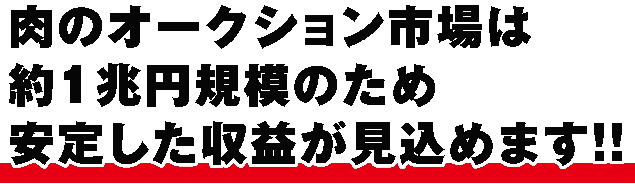 肉のオークション市場は約1兆円規模のため安定した収益が見込めます!!