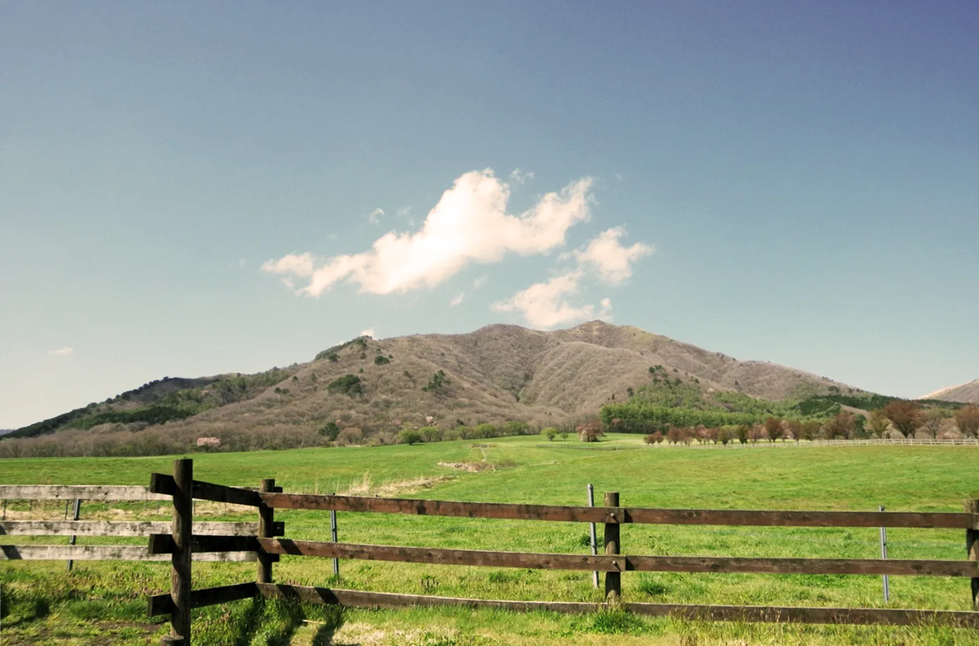 つる牛のイメージ
